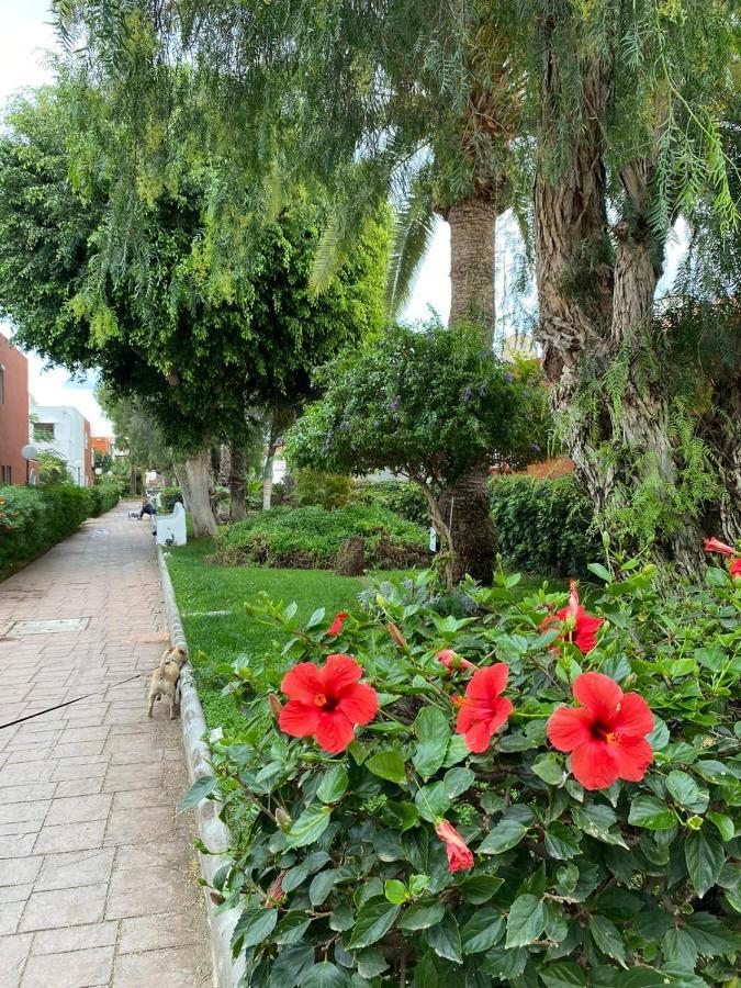 Casa Armonia Del Sol Villa San Bartolomé Eksteriør bilde